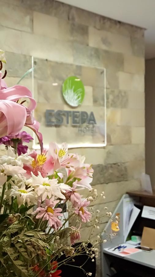 Estepa Hotel 罗卡将军镇 外观 照片
